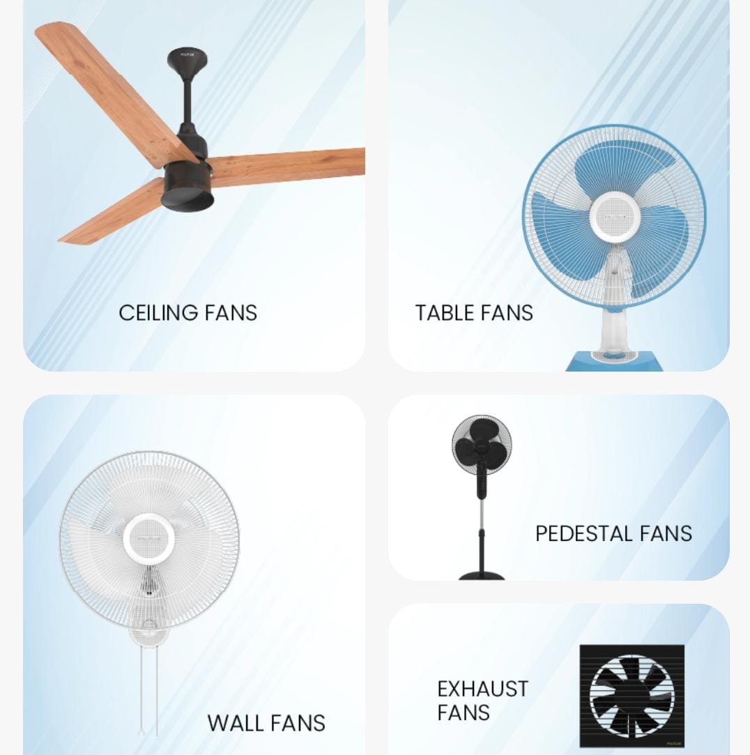 Fans